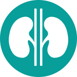 2_4_1-Other Options_KIDNEY TRANSPLANT_02AGoodKidney