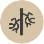 Vascular-Surgery_icon-e4e8a5d41b5e428e61f34450795f7983-239x239