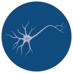 icon_cerebral_cortical_neurons_dark
