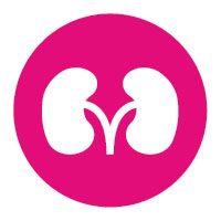 kidney-disease-icon