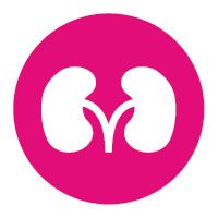 kidney-disease-icon